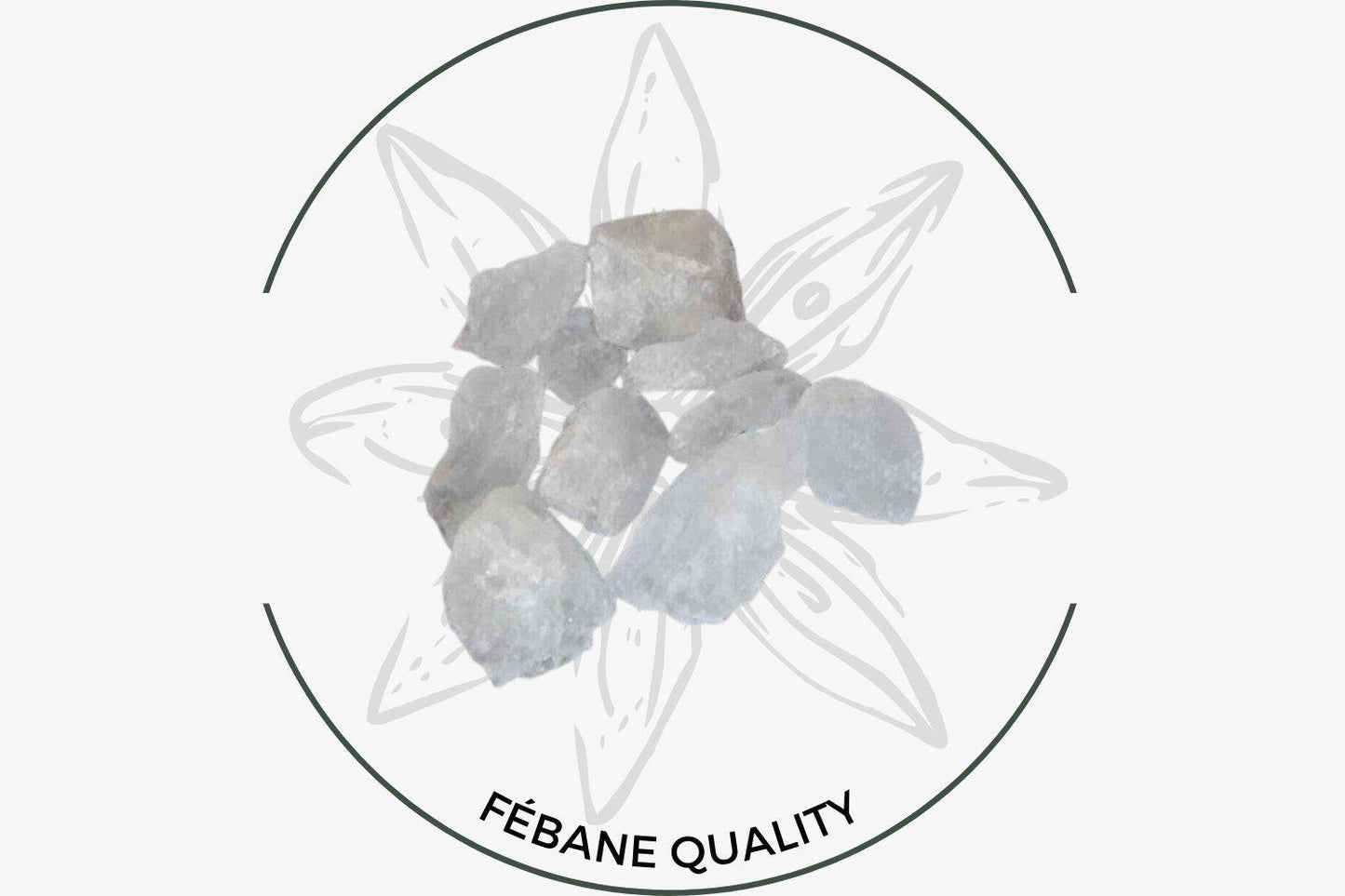Pierre d'Alun - Maison Fébane